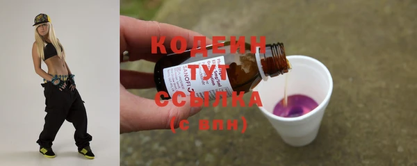 спиды Арсеньев