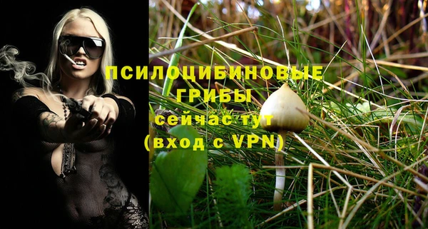 спиды Арсеньев
